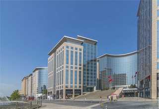 九臺區(qū)雞冠花購買電話