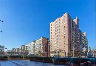 麗水鰹魚(yú)花什么價(jià)格